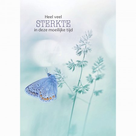 Kaart Condoleance Butterfly blue