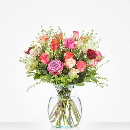 Kleurrijke rozen groot