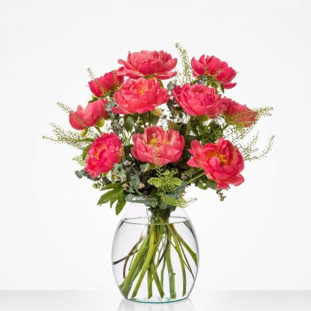 Mooie Pioenen middel